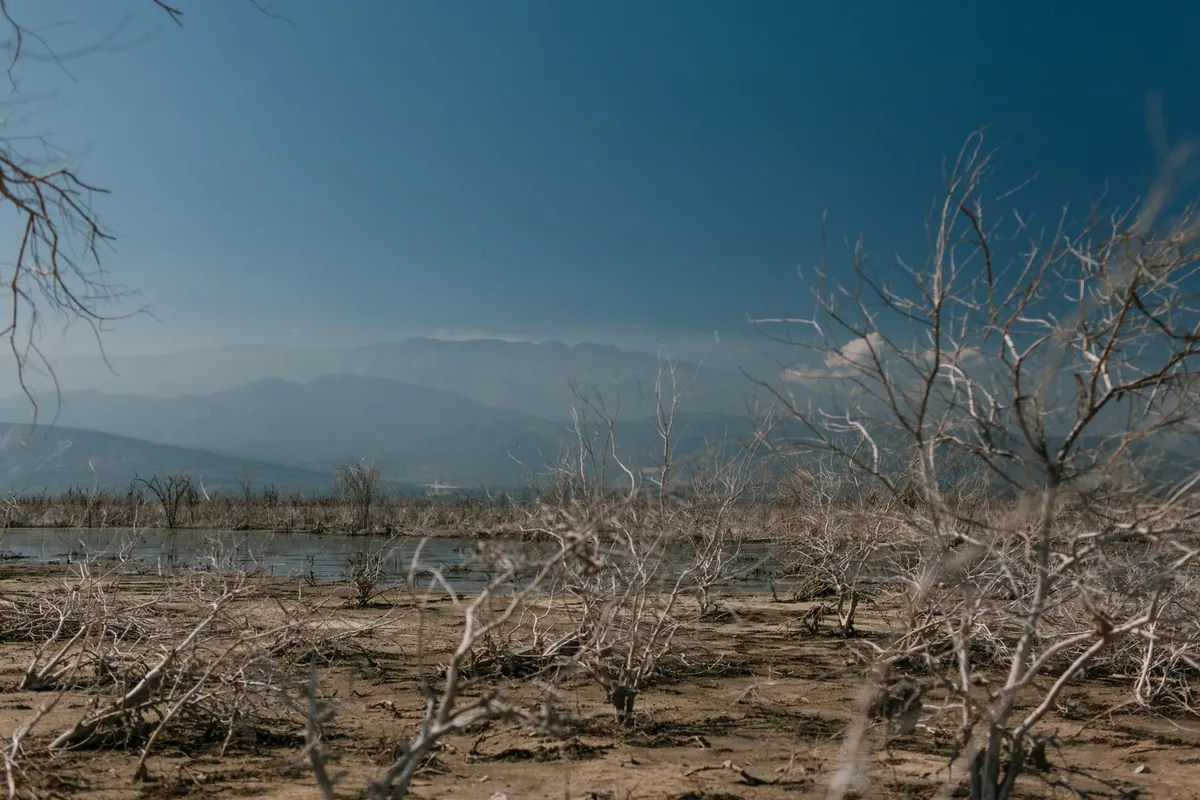 Orilla seca de un embalse con matorral muerto y el agua retirada al fondo