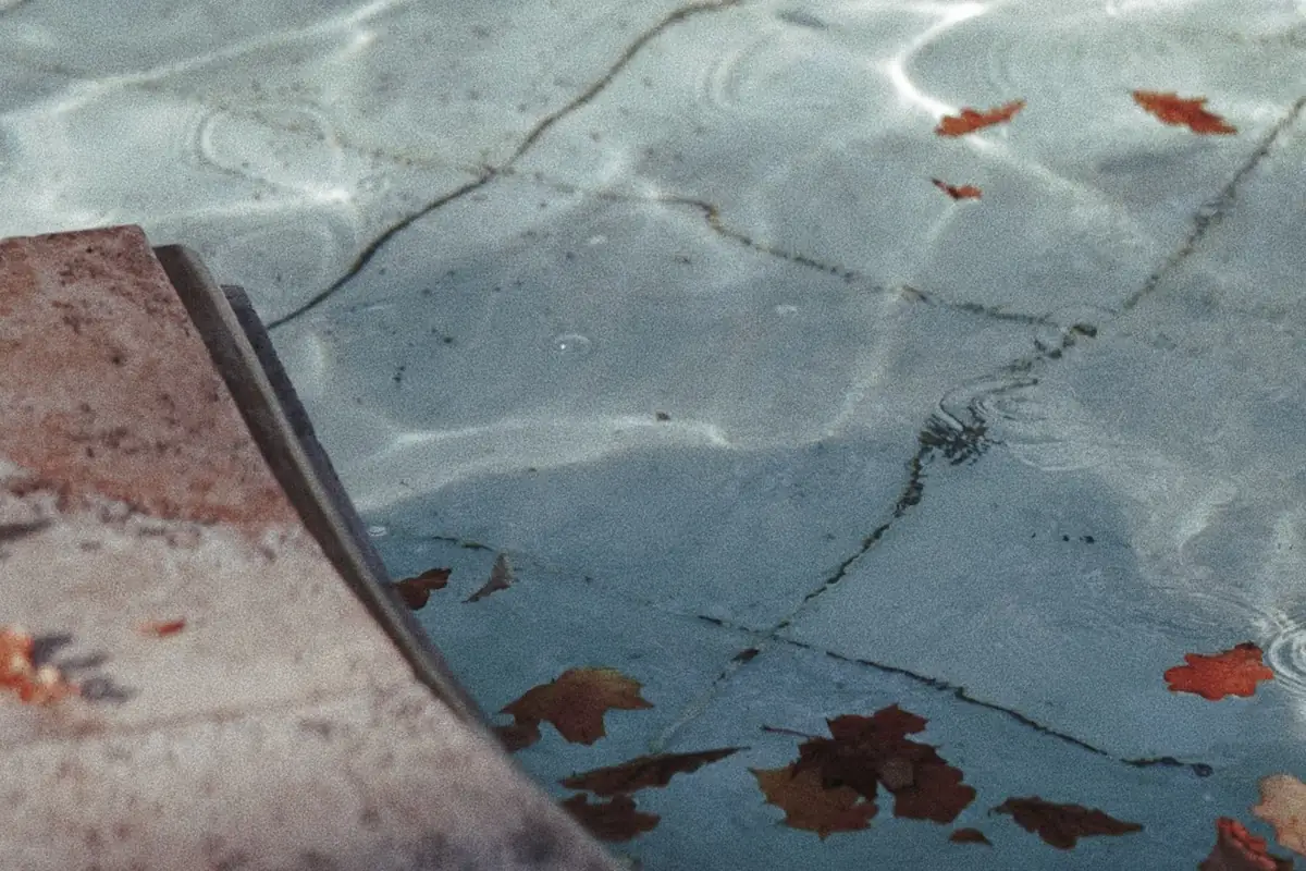 Hojas secas de otoño flotando en el agua de una piscina junto al borde de piedra