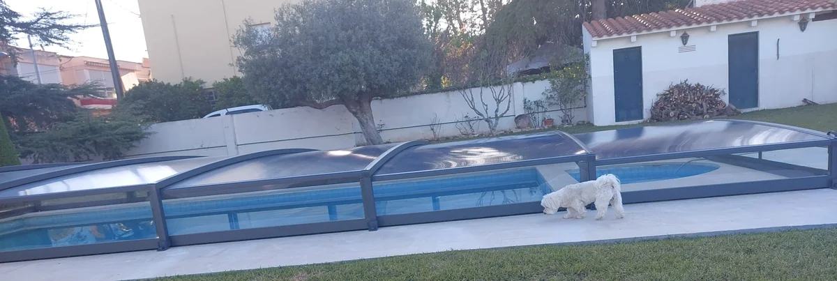 Perro pequeño blanco caminando por la playa junto a una piscina con la cubierta telescópica baja cerrada