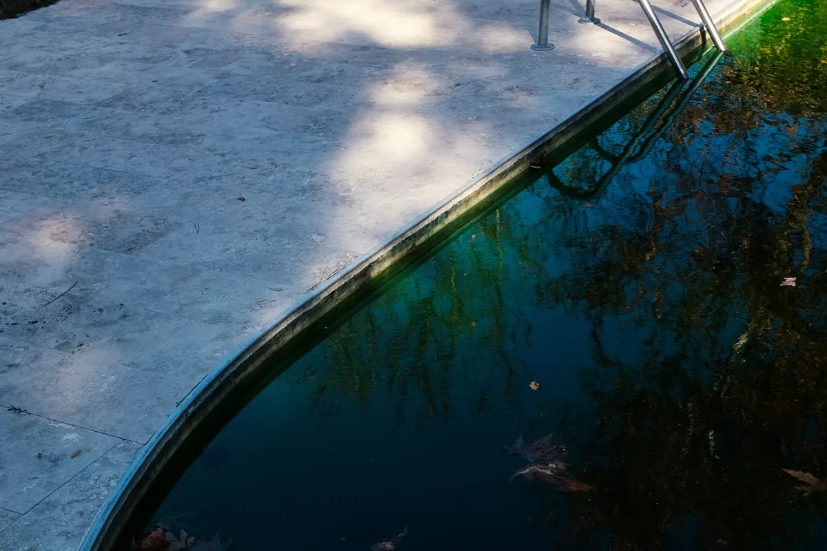 Piscina con el agua verdosa y hojas en el fondo junto a la escalera